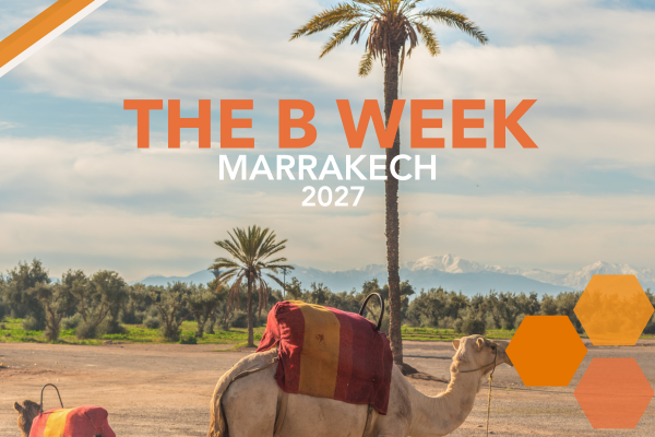 The B Week &mdash; 5 jours &agrave; Marrakech